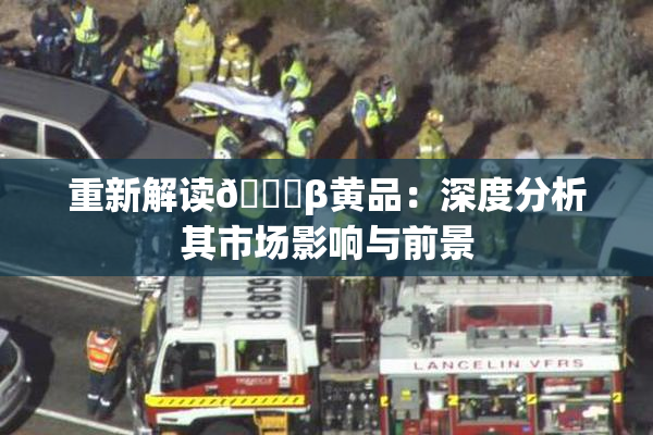 重新解读🔞β黄品：深度分析其市场影响与前景