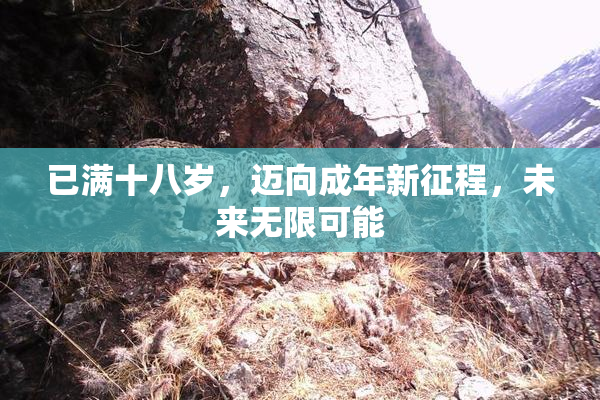 已满十八岁，迈向成年新征程，未来无限可能