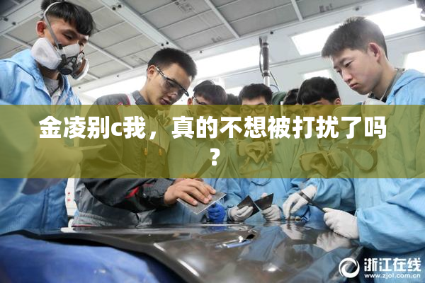 金凌别c我，真的不想被打扰了吗？