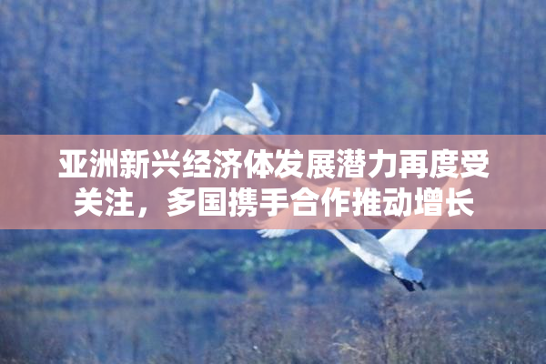 亚洲新兴经济体发展潜力再度受关注，多国携手合作推动增长