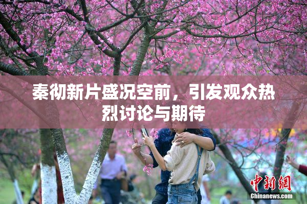 秦彻新片盛况空前，引发观众热烈讨论与期待