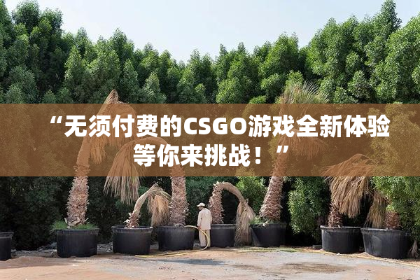 “无须付费的CSGO游戏全新体验等你来挑战！”