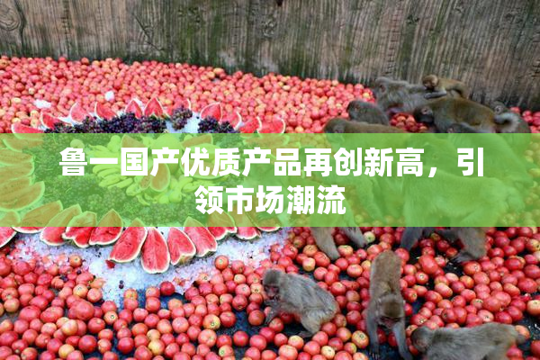 鲁一国产优质产品再创新高，引领市场潮流