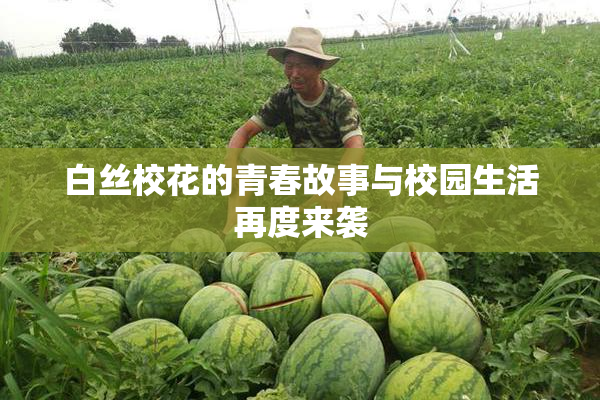白丝校花的青春故事与校园生活再度来袭