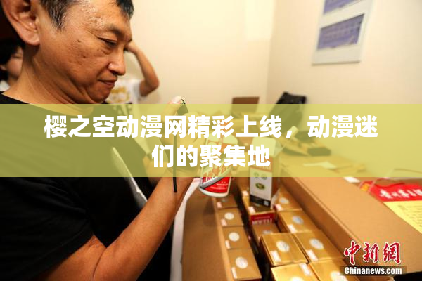 樱之空动漫网精彩上线，动漫迷们的聚集地