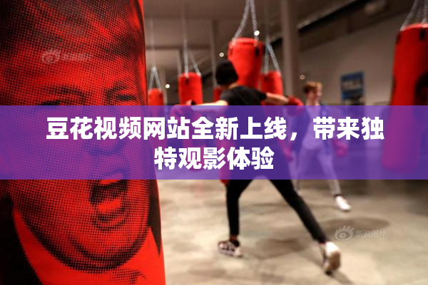 豆花视频网站全新上线，带来独特观影体验
