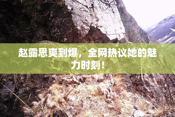 赵露思爽到爆，全网热议她的魅力时刻！