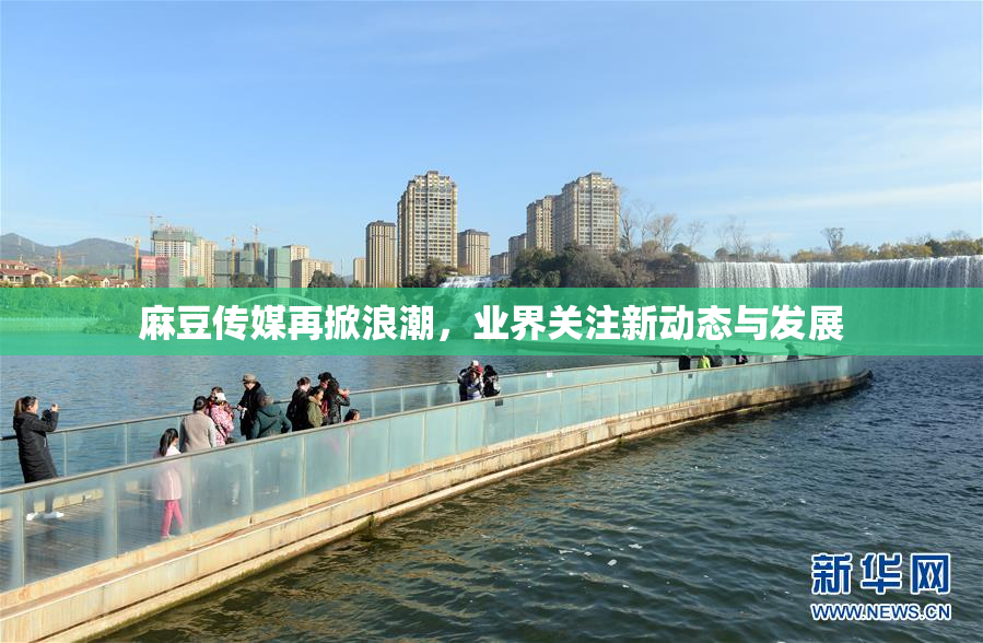 麻豆传媒再掀浪潮，业界关注新动态与发展