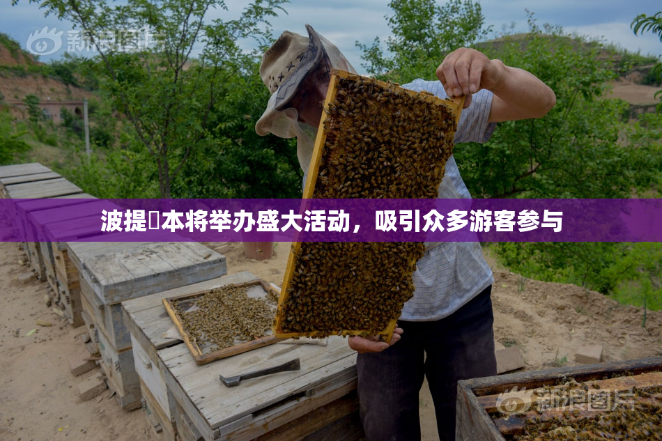 波提歐本将举办盛大活动，吸引众多游客参与