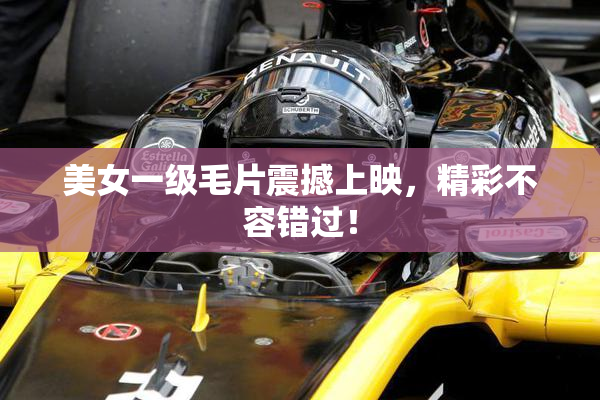 美女一级毛片震撼上映，精彩不容错过！