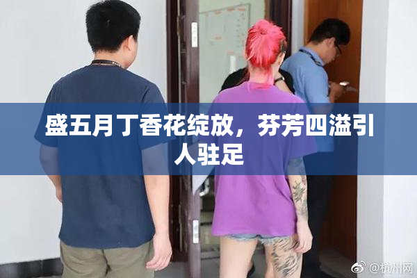 盛五月丁香花绽放，芬芳四溢引人驻足