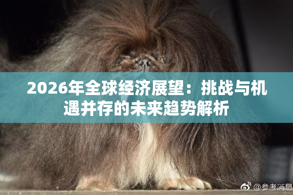 2026年全球经济展望：挑战与机遇并存的未来趋势解析