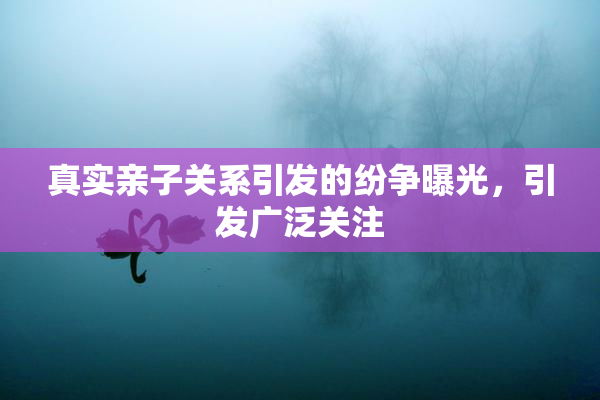 真实亲子关系引发的纷争曝光，引发广泛关注
