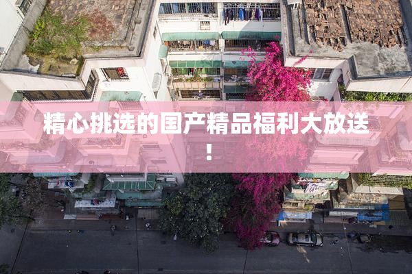 精心挑选的国产精品福利大放送！