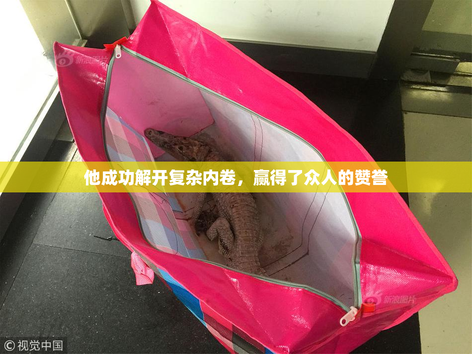 他成功解开复杂内卷，赢得了众人的赞誉