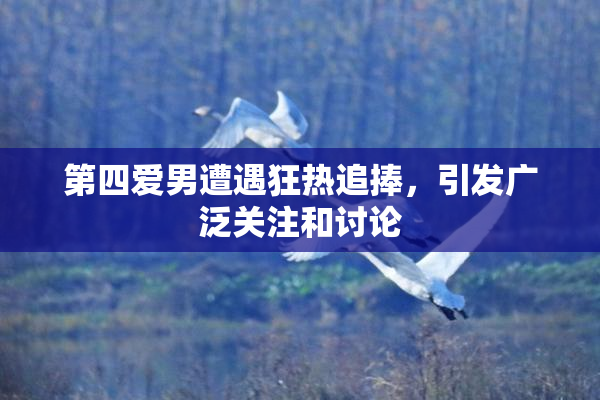 第四爱男遭遇狂热追捧，引发广泛关注和讨论