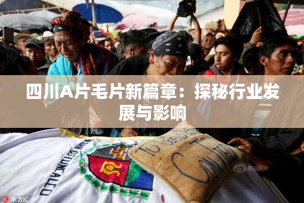 四川A片毛片新篇章：探秘行业发展与影响
