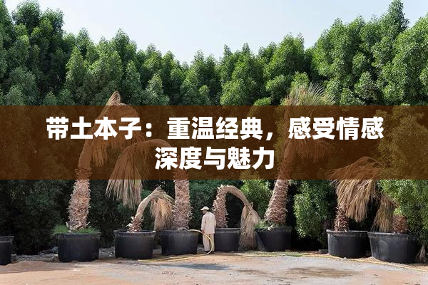 带土本子：重温经典，感受情感深度与魅力