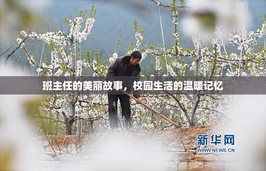班主任的美丽故事，校园生活的温暖记忆