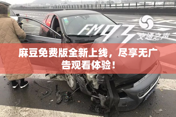 麻豆免费版全新上线，尽享无广告观看体验！