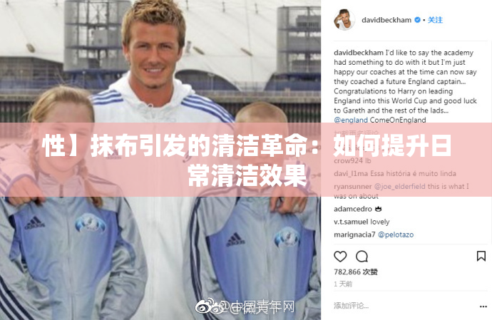 性】抹布引发的清洁革命：如何提升日常清洁效果