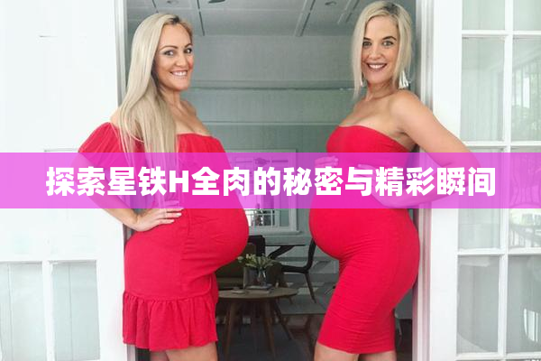 探索星铁H全肉的秘密与精彩瞬间