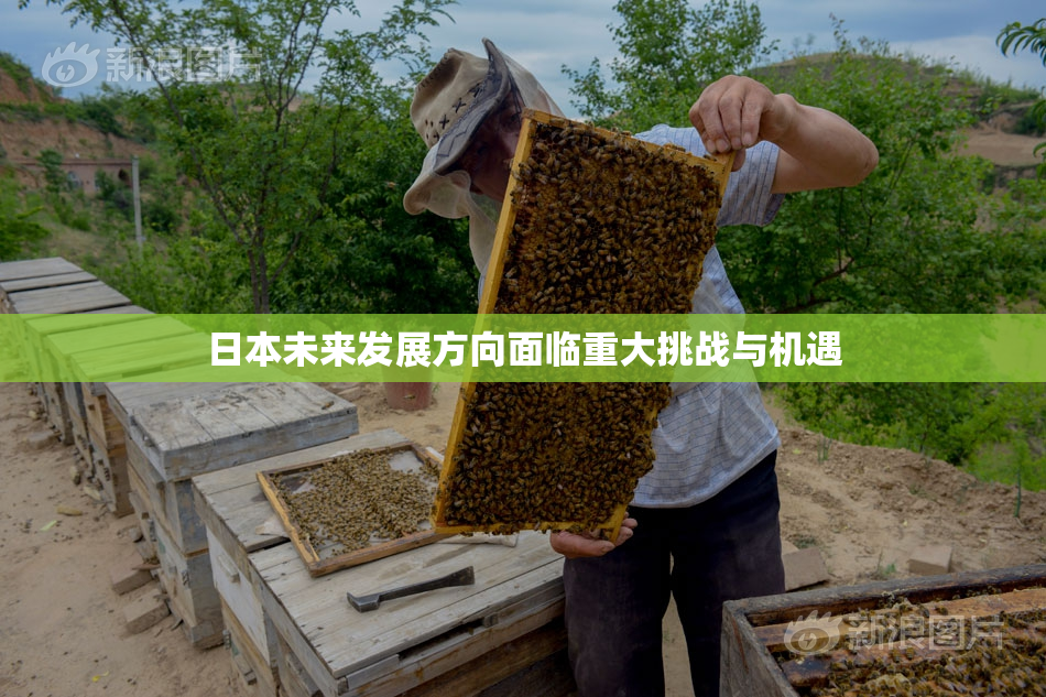 日本未来发展方向面临重大挑战与机遇