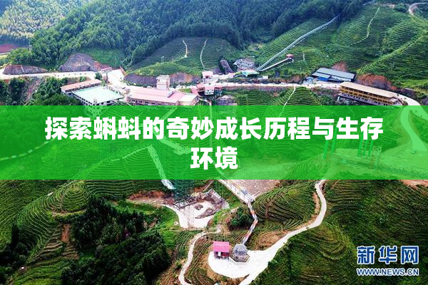 探索蝌蚪的奇妙成长历程与生存环境