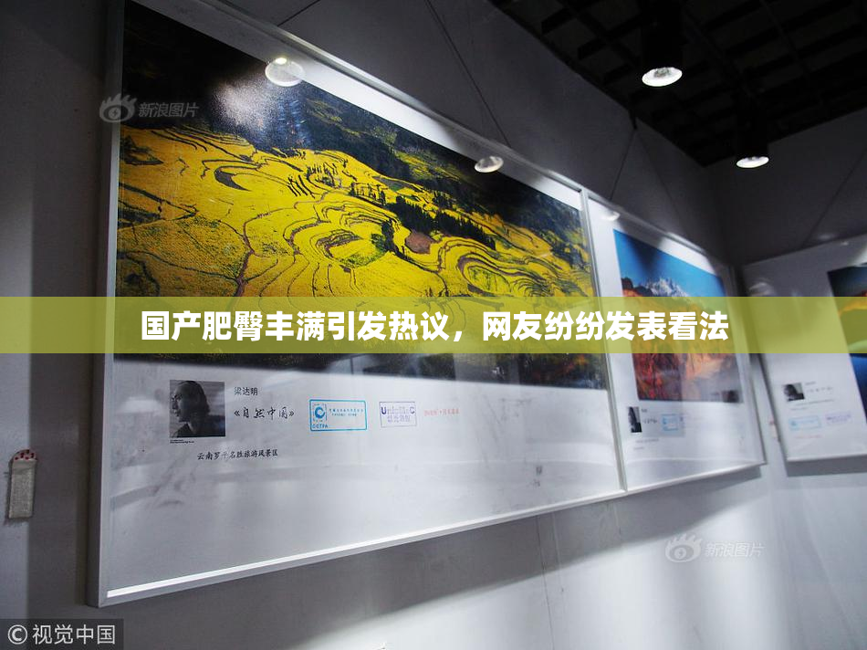 国产肥臀丰满引发热议，网友纷纷发表看法