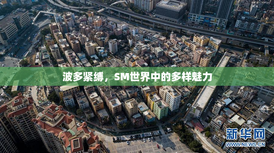 波多紧缚，SM世界中的多样魅力