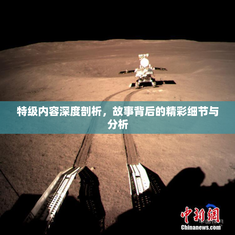 特级内容深度剖析，故事背后的精彩细节与分析