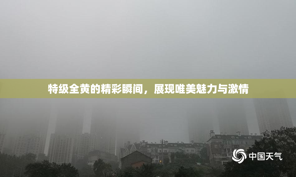 特级全黄的精彩瞬间，展现唯美魅力与激情