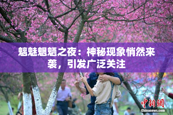 魑魅魍魉之夜：神秘现象悄然来袭，引发广泛关注