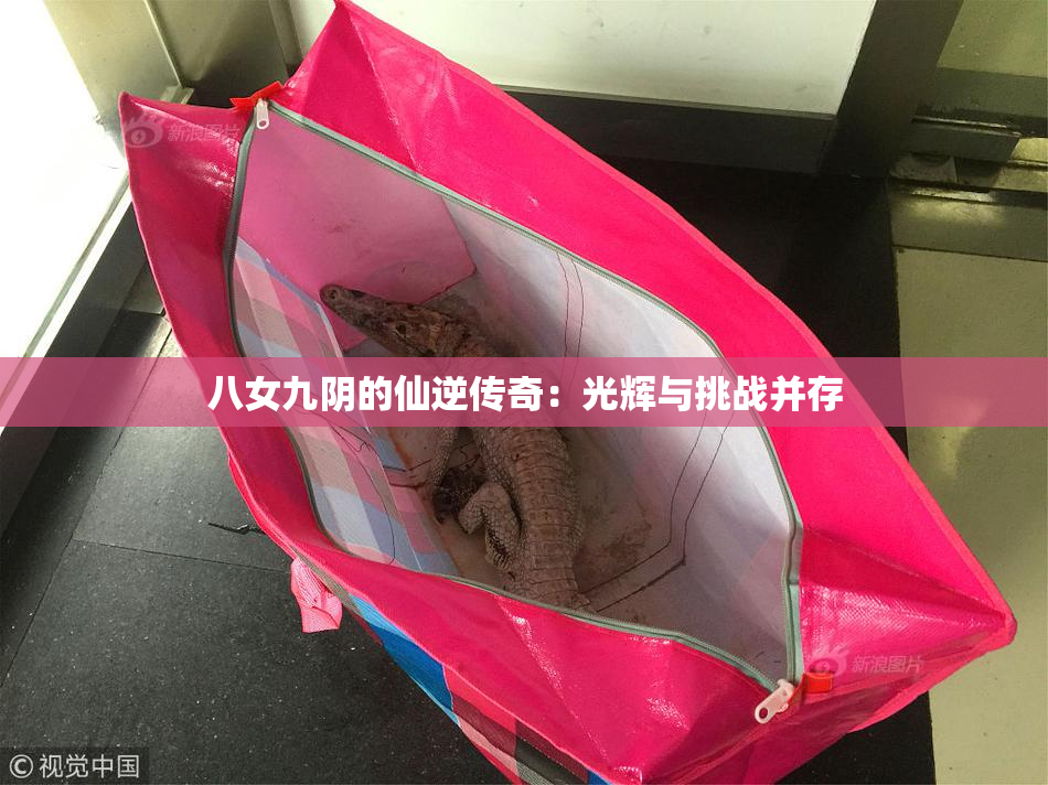 八女九阴的仙逆传奇：光辉与挑战并存