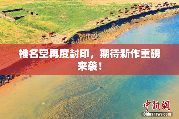 椎名空再度封印，期待新作重磅来袭！
