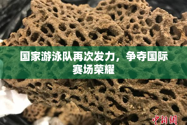 国家游泳队再次发力，争夺国际赛场荣耀