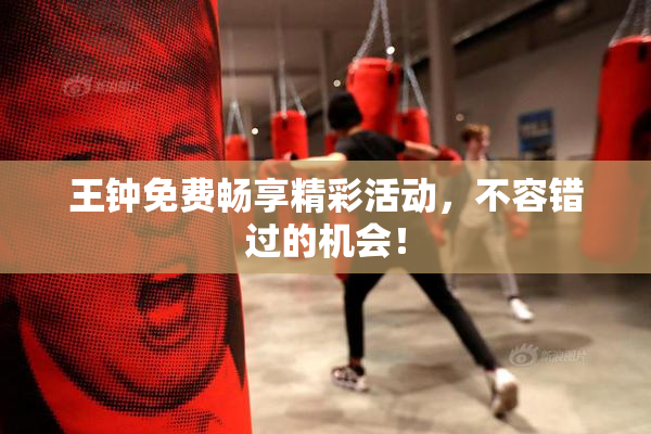 王钟免费畅享精彩活动，不容错过的机会！