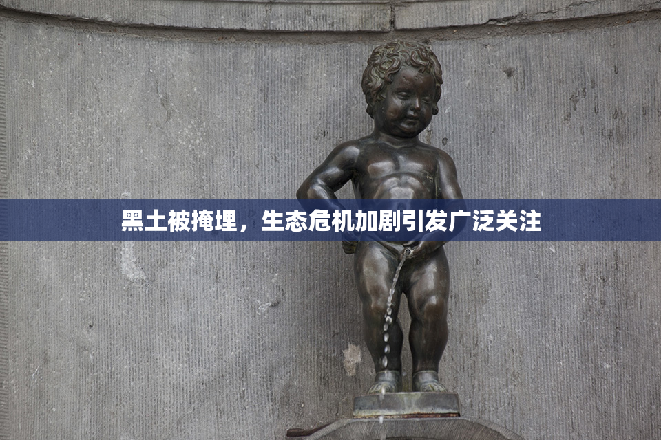 黑土被掩埋，生态危机加剧引发广泛关注
