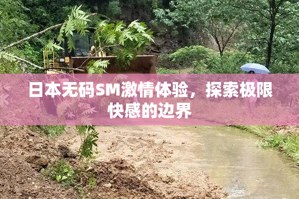 日本无码SM激情体验，探索极限快感的边界