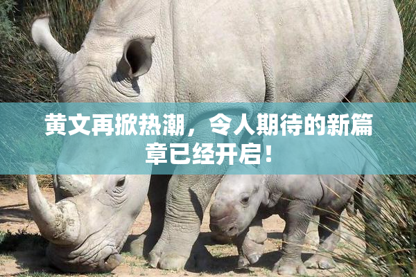 黄文再掀热潮，令人期待的新篇章已经开启！