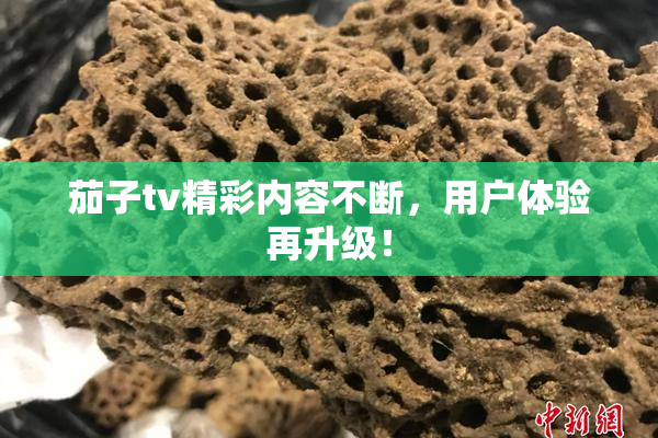 茄子tv精彩内容不断，用户体验再升级！