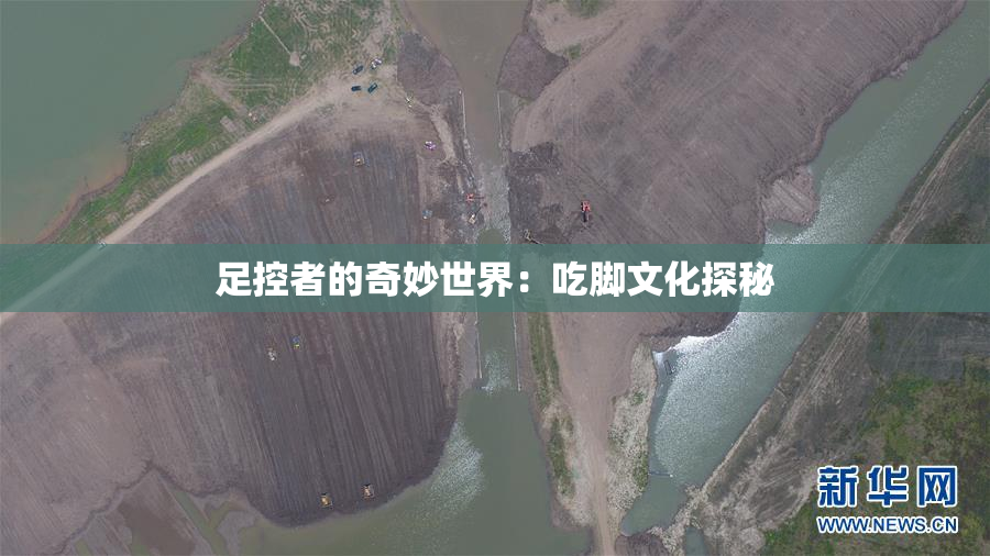 足控者的奇妙世界：吃脚文化探秘