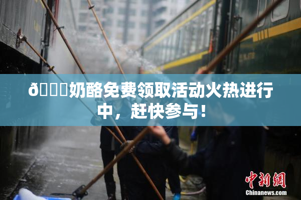 🔞奶酪免费领取活动火热进行中，赶快参与！