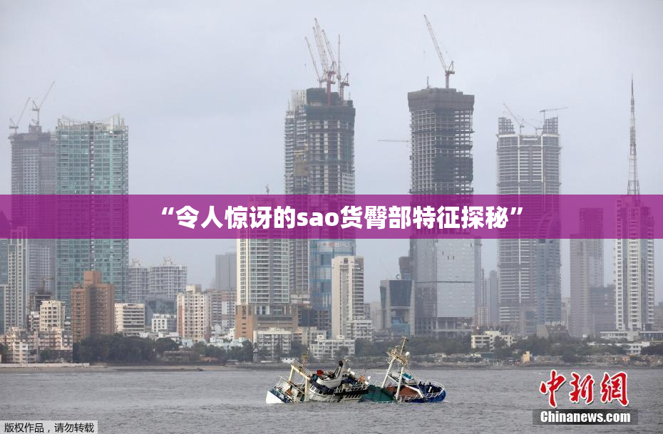 “令人惊讶的sao货臀部特征探秘”