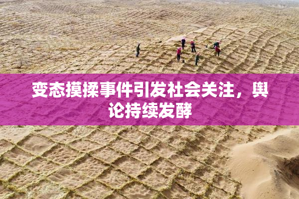变态摸揉事件引发社会关注，舆论持续发酵