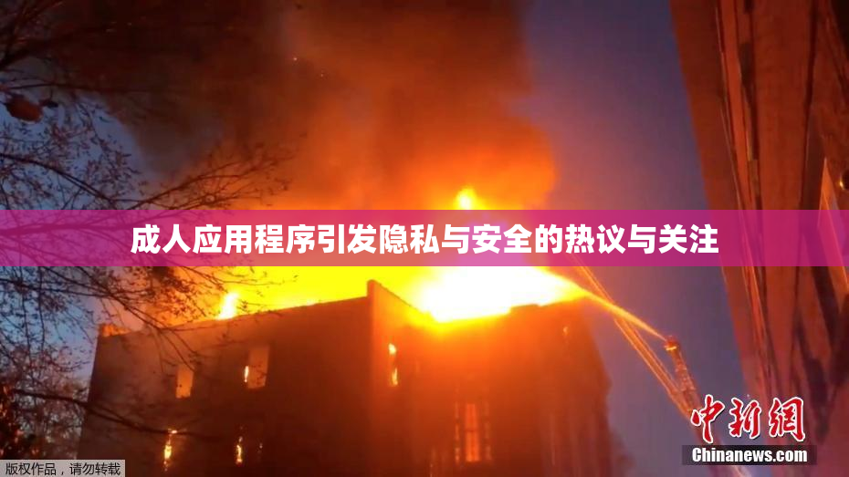 成人应用程序引发隐私与安全的热议与关注