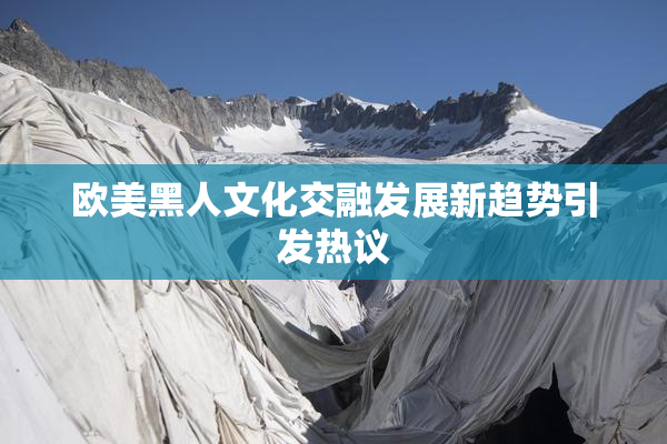 欧美黑人文化交融发展新趋势引发热议