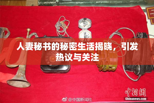 人妻秘书的秘密生活揭晓，引发热议与关注
