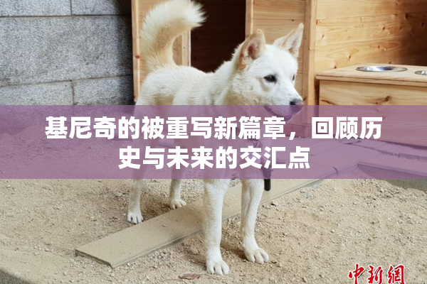 基尼奇的被重写新篇章，回顾历史与未来的交汇点