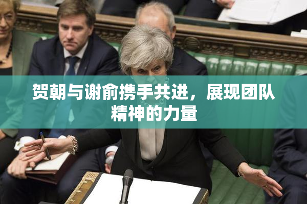 贺朝与谢俞携手共进，展现团队精神的力量